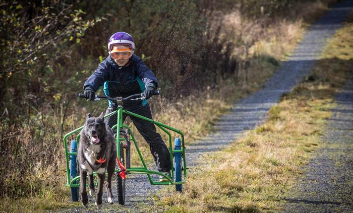 Mynydd Sleddog Adventures
